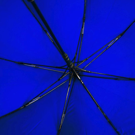 Парасоля-тростина напівавтоматична Line Art Blantier, із захисними наконечниками (темно-синій/чорний)