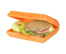Ланч-бокс пластиковий 'Oblong' 880 мл (Помаранчевий)