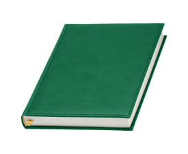 Щоденник 'Прінт' Н/Д Mem'O! ТМ (Зелений)