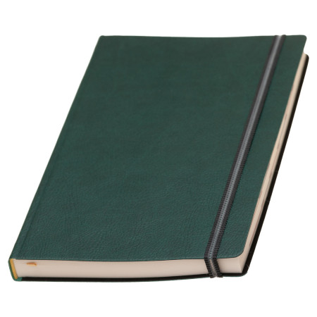 Щоденник датований на 2026 рік 'Дакар Преміум Еластик' Mem'O! ТМ (Зелений)