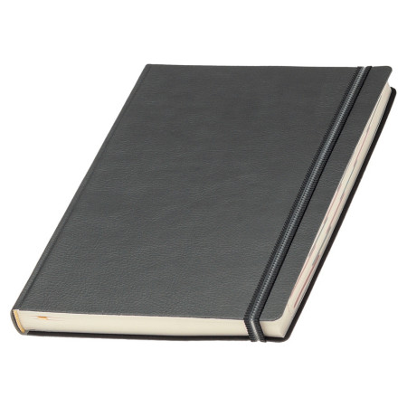 Щоденник датований на 2026 рік 'Дакар Преміум Еластик' Mem'O! ТМ (Сірий)