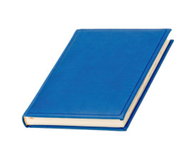 Щоденник датований на 2026 рік 'Прінт' Mem'O! ТМ