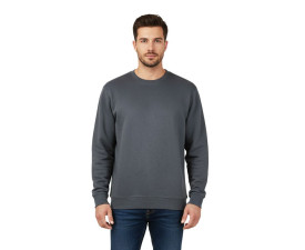 Світшот Nikibo Classic (сірий) Світшот Nikibo Classic (сірий)