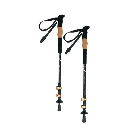 Трекінгові палиці Schwarzwolf Denali