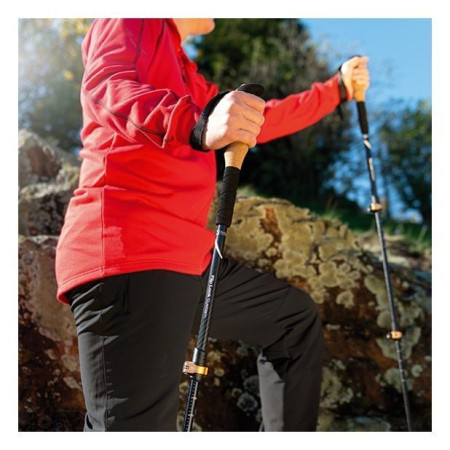 Трекінгові палиці Schwarzwolf Denali