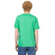 Футболка SOL'S Legend (соковито-зелений)