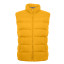 Жилет Ranger, ТМ Floyd (жовтий)