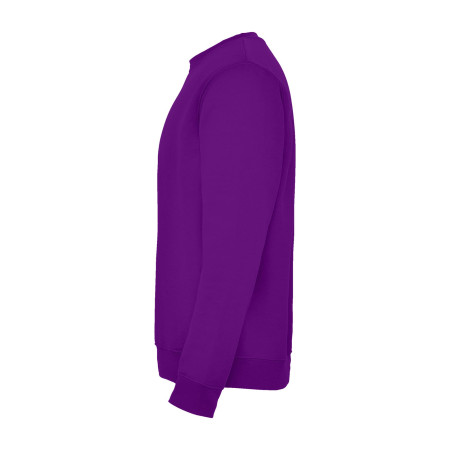 Реглан Clasica 280 ТМ Roly (purple)