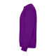 Реглан Clasica 280 ТМ Roly (purple)