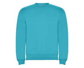 Реглан Clasica 280 ТМ Roly (turquoise)