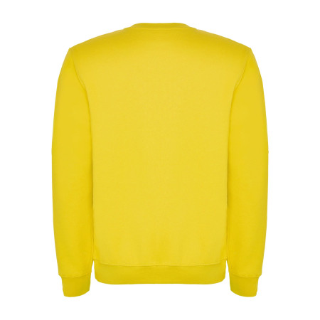 Реглан Clasica 280 ТМ Roly (yellow)