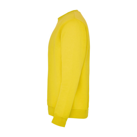 Реглан Clasica 280 ТМ Roly (yellow)