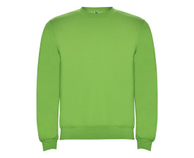 Реглан Clasica 280 ТМ Roly (oasis green)