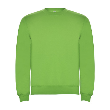 Реглан Clasica 280 ТМ Roly (oasis green)