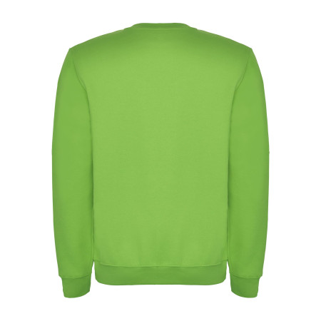 Реглан Clasica 280 ТМ Roly (oasis green)