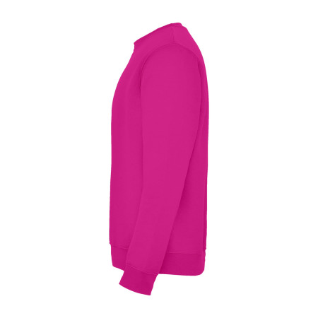 Реглан Clasica 280 ТМ Roly (roseton)