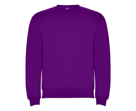 Реглан Clasica 280 ТМ Roly (purple)