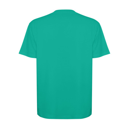 Футболка Bull 210 (jade)