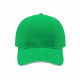 Кепка Beggin, TM Floyd (зелений)