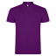 Поло Star 200, TM Roly (purple)