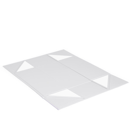 Коробка подарункова Case, ТМ Totobi (білий)