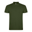 Поло Star 200, TM Roly (adventure green)